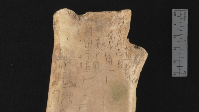 Oracle Bones, the Predecessors of the Yijing